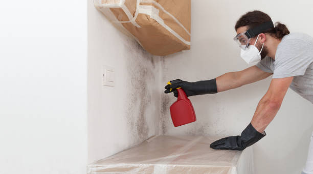Professional Basement Mold Remediation technician working in Flagtown, NJ